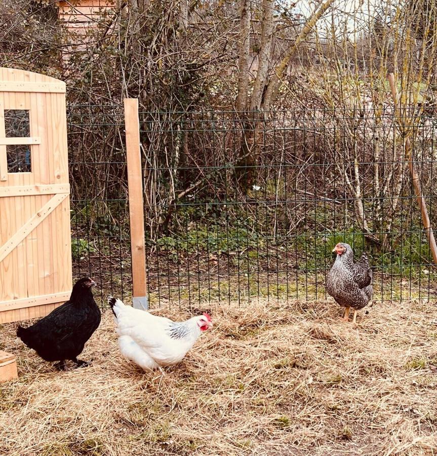 Une Pause S'Impose ;) Méry-sur-Cher Eksteriør bilde